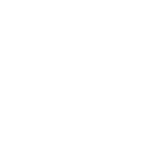 Icon Zertifikat mit Siegel