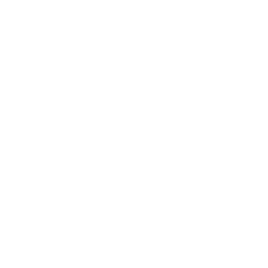 Icon Mensch mit Helm und Schutzschild mit Haken