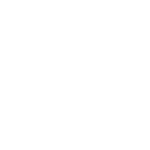 Icon PKW